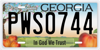 GA license plate PWS0744