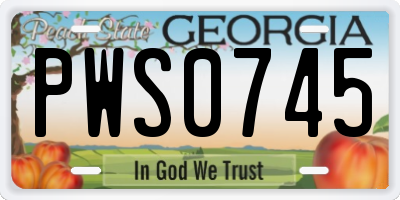 GA license plate PWS0745