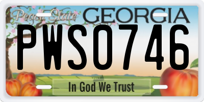 GA license plate PWS0746