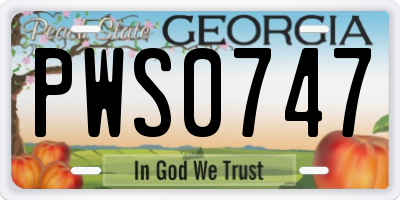 GA license plate PWS0747