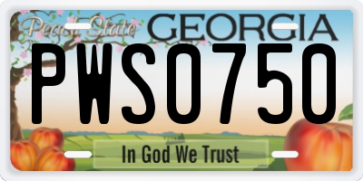 GA license plate PWS0750