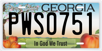GA license plate PWS0751