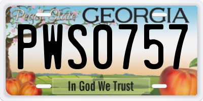 GA license plate PWS0757
