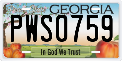 GA license plate PWS0759
