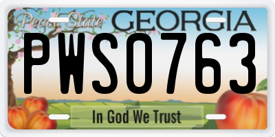 GA license plate PWS0763