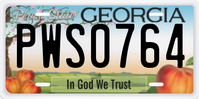 GA license plate PWS0764