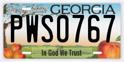GA license plate PWS0767