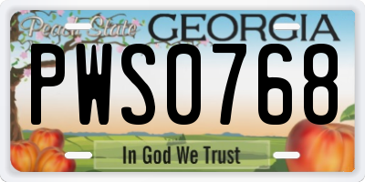 GA license plate PWS0768