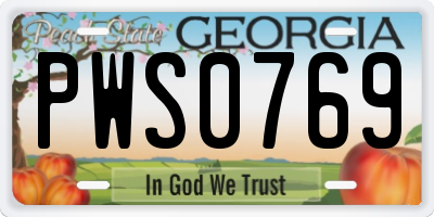 GA license plate PWS0769