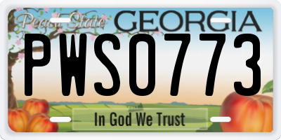 GA license plate PWS0773