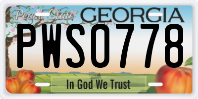 GA license plate PWS0778
