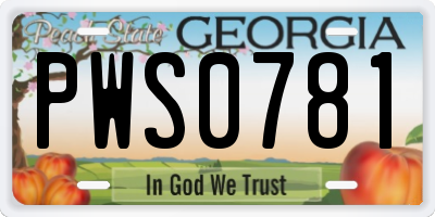 GA license plate PWS0781