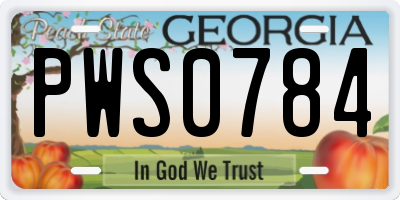 GA license plate PWS0784