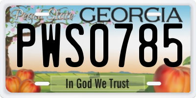 GA license plate PWS0785