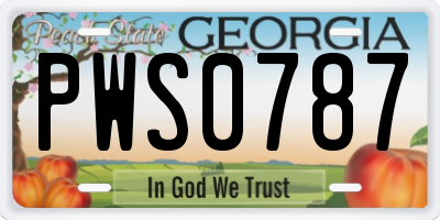 GA license plate PWS0787