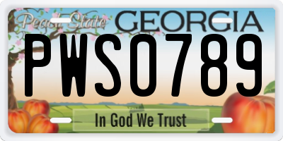 GA license plate PWS0789