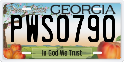 GA license plate PWS0790
