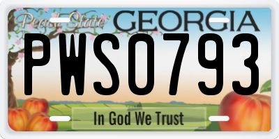 GA license plate PWS0793