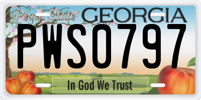 GA license plate PWS0797