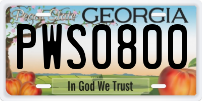GA license plate PWS0800