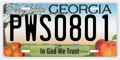 GA license plate PWS0801