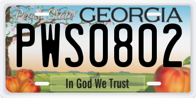 GA license plate PWS0802