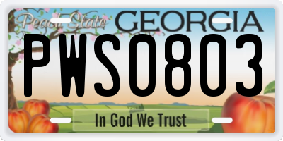 GA license plate PWS0803