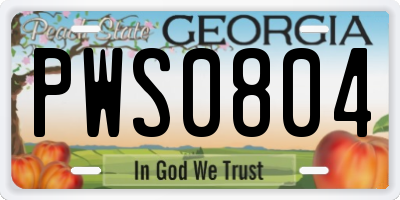 GA license plate PWS0804