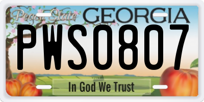 GA license plate PWS0807