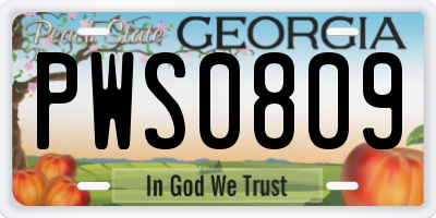 GA license plate PWS0809
