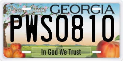 GA license plate PWS0810