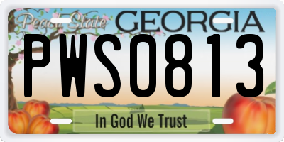 GA license plate PWS0813