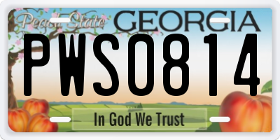 GA license plate PWS0814