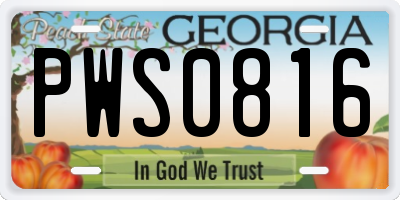 GA license plate PWS0816