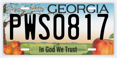 GA license plate PWS0817