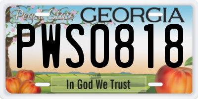 GA license plate PWS0818