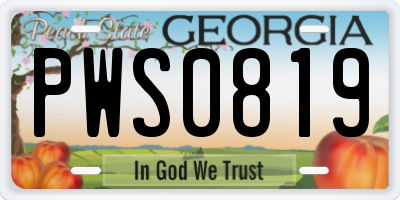 GA license plate PWS0819
