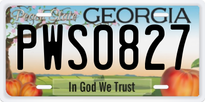 GA license plate PWS0827