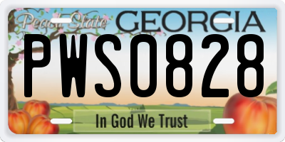 GA license plate PWS0828
