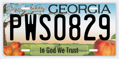 GA license plate PWS0829