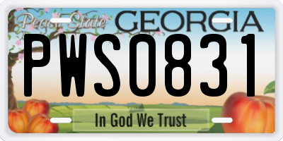 GA license plate PWS0831