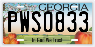 GA license plate PWS0833