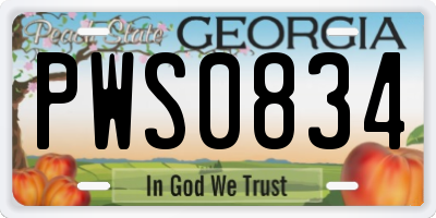 GA license plate PWS0834