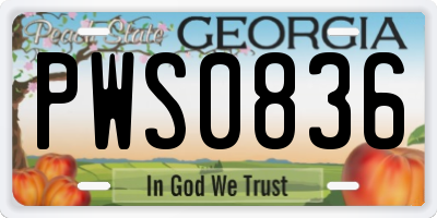 GA license plate PWS0836