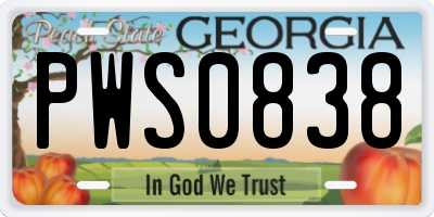 GA license plate PWS0838