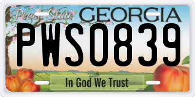 GA license plate PWS0839