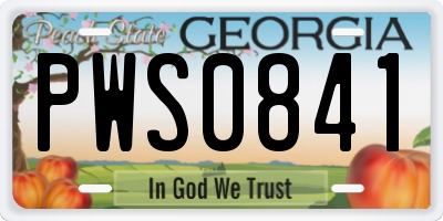GA license plate PWS0841