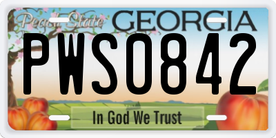 GA license plate PWS0842