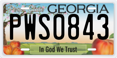 GA license plate PWS0843