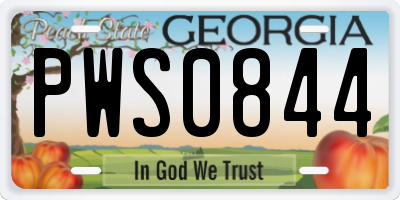 GA license plate PWS0844